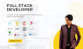 expert full stack developer