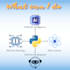 develop custom ai, ml, and data solutions using python