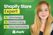 boost and promote shopify sales, shopify store promotion