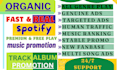 promote your music on spotify and google ads
