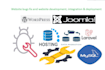 work on PHP, wordpress, joomla and mysql