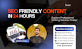 write bulk SEO friendly  articles and blog posts