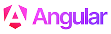 develop a custom interactive angular web application
