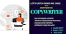 do professional copywriting and ad copywriting