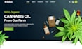 design a professional cannabis dispensary website