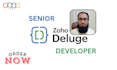 create complex zoho deluge automations and scripts