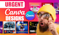 design urgent canva social media posts, thumbnails, flyers, and presentations