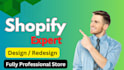 set up shopify web store