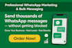 boost your business with whatsapp bulk messaging, promotion, and marketing