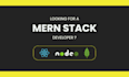 expert mern stack developer for your website