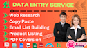 do data entry, copy paste, data collection, web scraping, pdf to excel