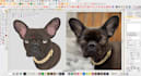 do cat dog and pet face embroidery digitizing with in hours