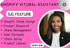 be shopify virtual assistant and shopify marketing manager shopify store manager