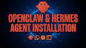 install and setup openclaw or hermes agent