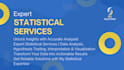 perform expert statistical analysis for your data