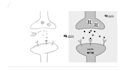 develop high quality graphical abstracts and illustrations