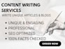 write a 5 paragraph essay on any topic