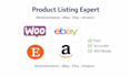 do woocommerce product listing, ebay bulk upload and multi platform data entry