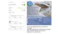 ppc lead content to ad campaigns on meta amazon and tiktok save your time