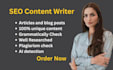 write rewrite and proofread SEO tech articles blog posts and ebooks