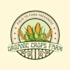 design a company logo