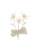 design your flyer and minimalist flower logo