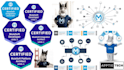 create professional dataweave scripts for your mulesoft projects