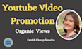 do organic youtube video promotion service