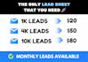 provide you b2b leads, lead generation in any niche