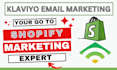 setup advanced klaviyo email marketing flows in shopify