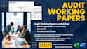 prepare working papers for manual audit as per requirement