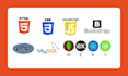 be your front end developer, backend developer do website development