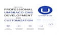 provide professional umbraco cms development and customization