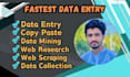 do fastest data entry, copy paste in 24 hours