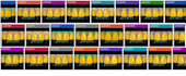 exocad lxt full teeth library 2025   29 models