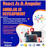 deploy react js and angular project with ci cd pipeline on github, AWS