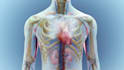 create 3d medical animation, anatomy, physiology and surgical video