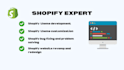 do shopify theme development custom coding bug fixing