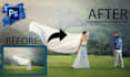 graphic design, object removal, custom adjustments