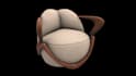 create amazing 3d products