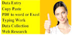 do data entry, copy paste, and ms office with pro level