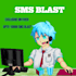 do 300 real estate SMS blast