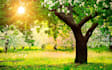 create a Parallax effect from your picture