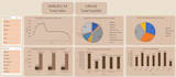 create excel graphs, pivot tables, dashboards and macros