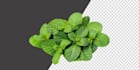 retouch and edit images in 24 hrs