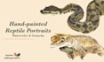 paint you pets, reptils, amphibians