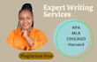 global current affairs, international relations, diplomacy,public relation essay
