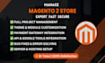 develop magento 2 store with API, google tools, payment and shipping setup