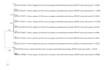 provide best phylogenetic analysis of species with basic writeup