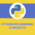 do your python projects, assigment , logo design and teach python